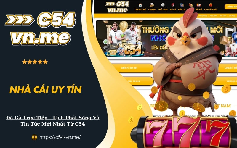 Đá Gà Trực Tiếp Lịch Phát Sóng Và Tin Tức Mới Nhất Từ C54